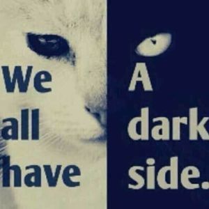 Meet your Posher, Omar